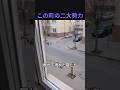この町の二大勢力