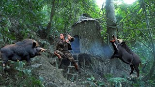 Download Lagu 200 Days of Building a Secret Tree Shelter – Hunting Wild Boars and Surviving in the Wild MP3 Download Lagu 200 Days of Building a Secret Tree Shelter – Hunting Wild Boars and Surviving in the Wild MP3