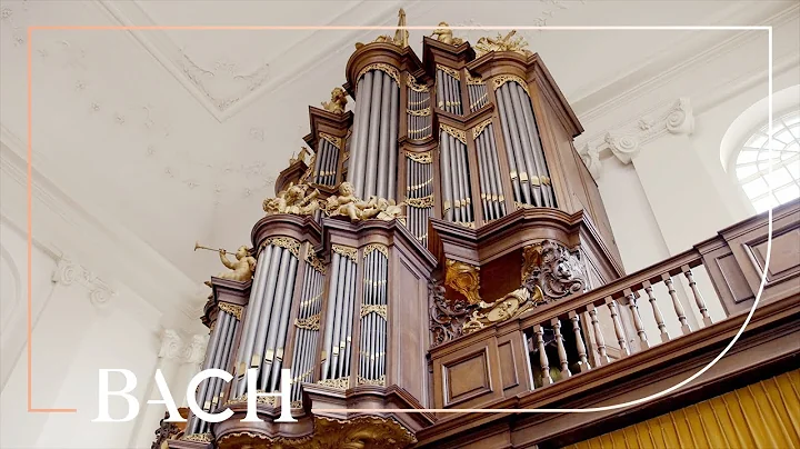 Bach - Passacaglia in C minor BWV 582 - Smits | Ne...