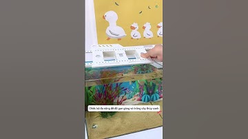 Kệ thủy sinh trên bể cá – vừa trồng cây vừa để đồ | Hydroponic Tank Shelf #aquatic #shorts