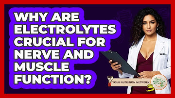 Why Are Electrolytes Crucial For Nerve And Muscle Function? - Your Nutrition Network
