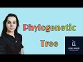 Tracing Evolutionary Pathways Through Phylogenetic Trees