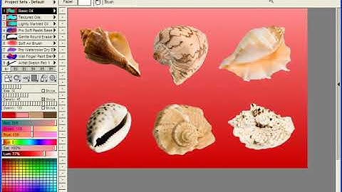 TwistedBrush Tutorials: Background Removal Solutions