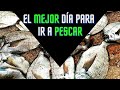 🤔❓ El MEJOR DÍA para ir a  PESCAR 🎣