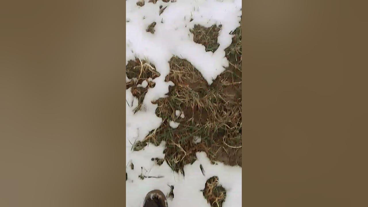 О боже это было больно 🤕🥶Бриг в ком - YouTube