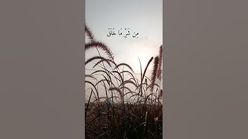 سورة الفلق #قرآن #اكسبلور #المصحف #قران_كريم #لايك #راحة_نفسية