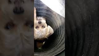 The Culvert