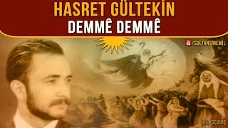 Hasret Gültekin - Demmi Resimi