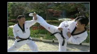 Taekwondo (21).avi
