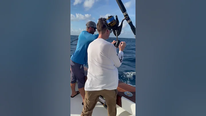 My first ever Sailfish.