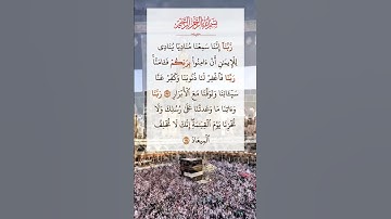 سورة آل عمران بصوت القارئ الشيخ سعد الغامدي، القرآن الكريم راحة نفسية و سكينة #quran #قرآن