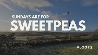 Sundays are for Sweetpeas Information