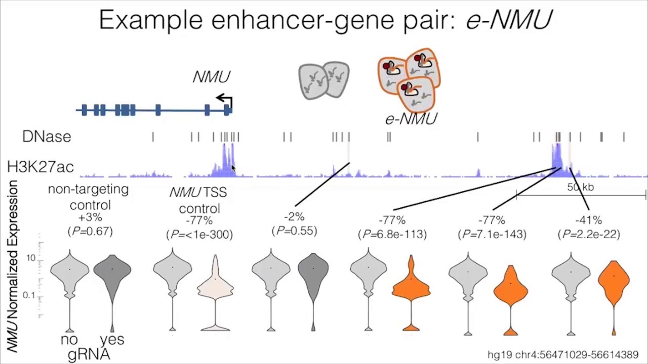 Pairing enhancers with their target genes via multiplexed cellular ...