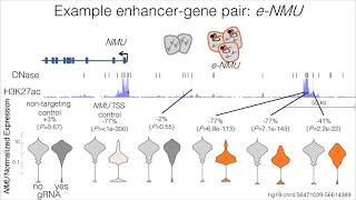 Pairing enhancers with their target genes via multiplexed cellular genetic screens