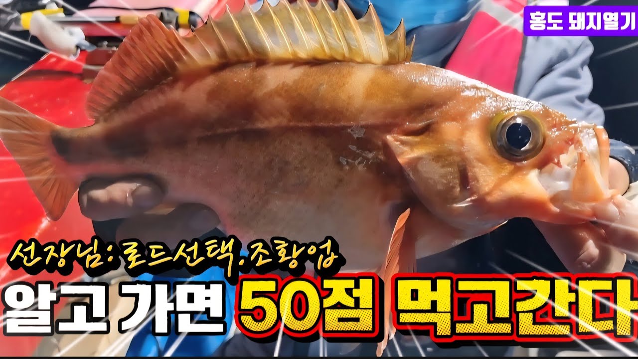 짧은로드/긴 로드 | 인터라인대/가이드 대( 선장님  꿀팁 공개) 초보님들 꼭 보시고 가세요.|볼락/열기 외줄낚시