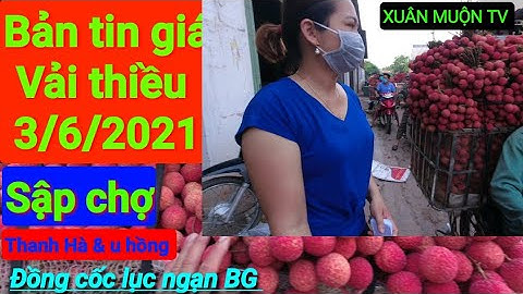 giá vải thiều hôm nay 3/6/2021 tại đồng cốc lục ngạn, giá giảm dao động 8k-25k