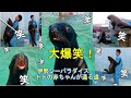 【トド】トドの赤ちゃんが通る「伊勢シー王道」(^^)/(伊勢シーパラダイス/水族館)