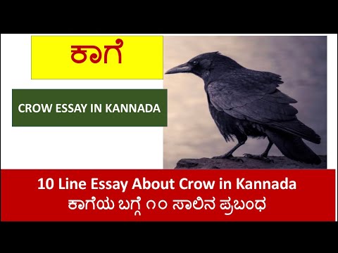 write essay on crow in malayalam