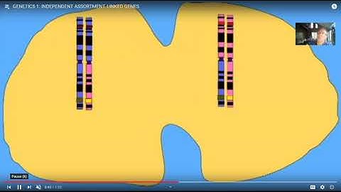 genetic mapping of gene location