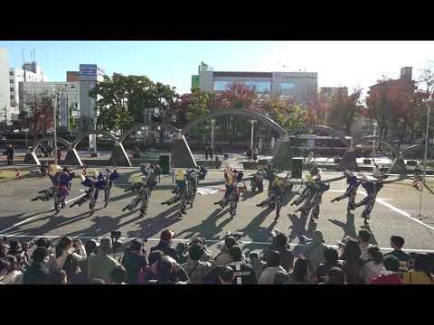 2021 11 28  皇學館大学よさこい部"雅"　四日市よさこい祭りプレイベント（第15.5回四日市よさこい祭り） メイン会場　2回目