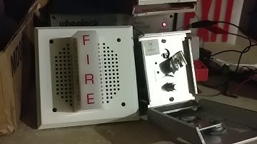 System sensor sp101w24lo speaker strobe fire alarm test