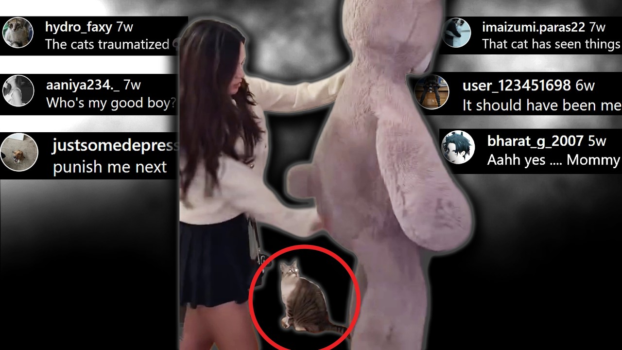 That Cat is Traumatized! - Chat Music