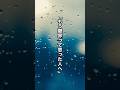 「心が折れそうな夜に見てほしい言葉」 #心に響く言葉 #感動 #共感したらいいね