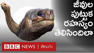 జీవ వైవిధ్యానికి మూలం దేవుడు కాదని, పరిణామ క్రమమేనని డార్విన్ ఎలా చెప్పారు