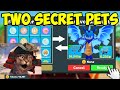 Trading For Two Secret Pets in Roblox Clicker Simulator