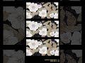 Each tile in the DecoTech Premier Collection