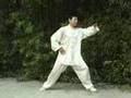 Tai chi soie reeling taiji