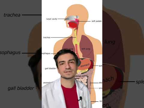 🥩🍖 Мясо, стоит ли употреблять ❓ Чем заменить если есть желание отказаться от мяса