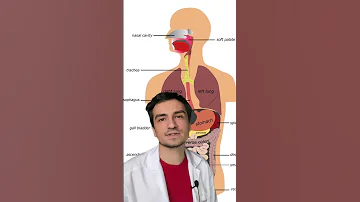 🥩🍖 Мясо, стоит ли употреблять ❓ Чем заменить если есть желание отказаться от мяса
