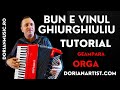 Bun e Vinul Ghiurghiuliu - Accordion & Organ Tutorial | Romanian Folk Song Lesson