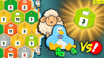 Catan 1v1 Ranked - S10 E09 - The 3 Sheep Is Always Enough! ...Right??