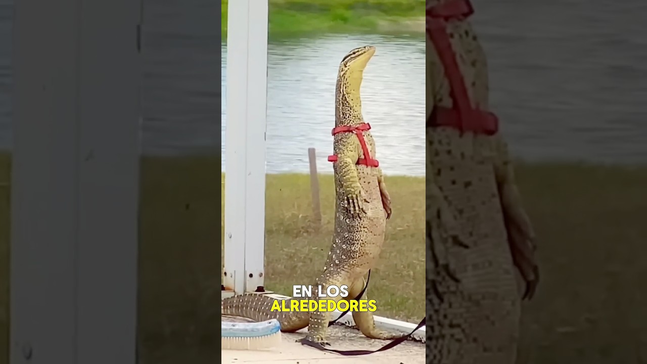 Qué Animal es Este 😨