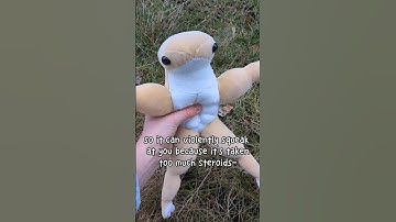 BUFF FROG 🐸💪      #art #frog #diy #handmade #craft #sewing #plushie