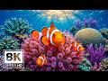 MARINE LIFE 8K ULTRA HD – Beautiful Sea Creatures &amp; Stress Relief Ocean Sounds