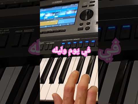 في يوم وليله ورده    عزف سماعي 2