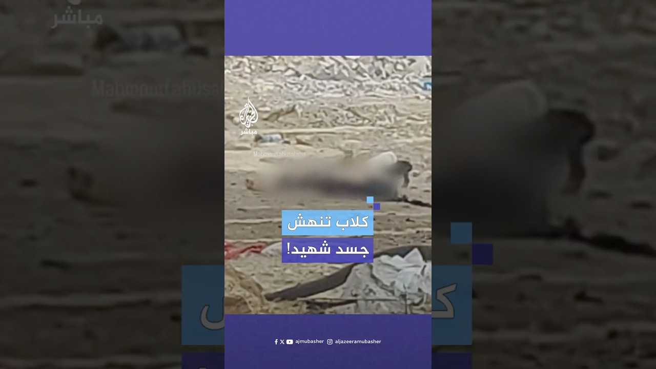 مشاهد صادمة لكلاب تنهش جسد أحد الشـهـ.ـداء أمام المستشفى الإندونيسي شمالي غزة