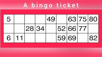 How to play bingo - Easy guide