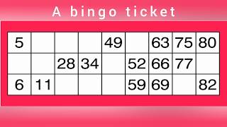 How to play bingo - Easy guide screenshot 2