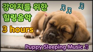 강아지가 보는 유튜브, 강아지 힐링음악, 휴식과 수면을 위한 음악입니다 ♫ - Puppy Sleeping Music ♫ (3 hours of continuous playback)