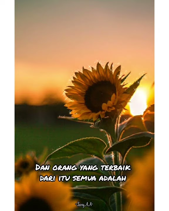Story WA Islami // Huwannur// story wa 30 detik// kata kata motivasi
