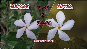 #DSLR level mobile photography  using SNAPSEED and #lightroom  😍