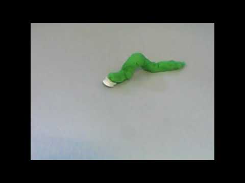 Histoire d'une chenille carnivore   Par Félix & Raphael