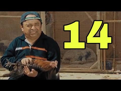 مسلسل دار دور الحلقة 14