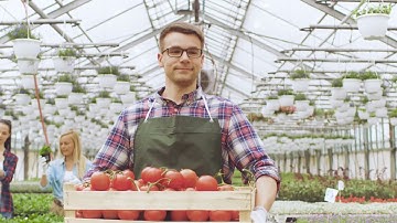 Transition to a Circular Agrofood System