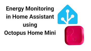 Energiebewaking in Home Assistant met behulp van Octopus Mini