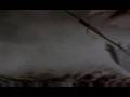 Ranker Video
